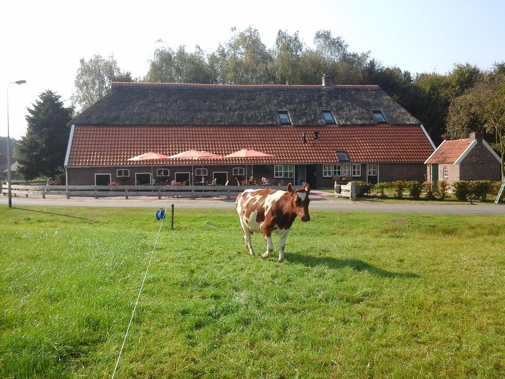B&B De Luttikhoeve Giethmen Buitenkant foto