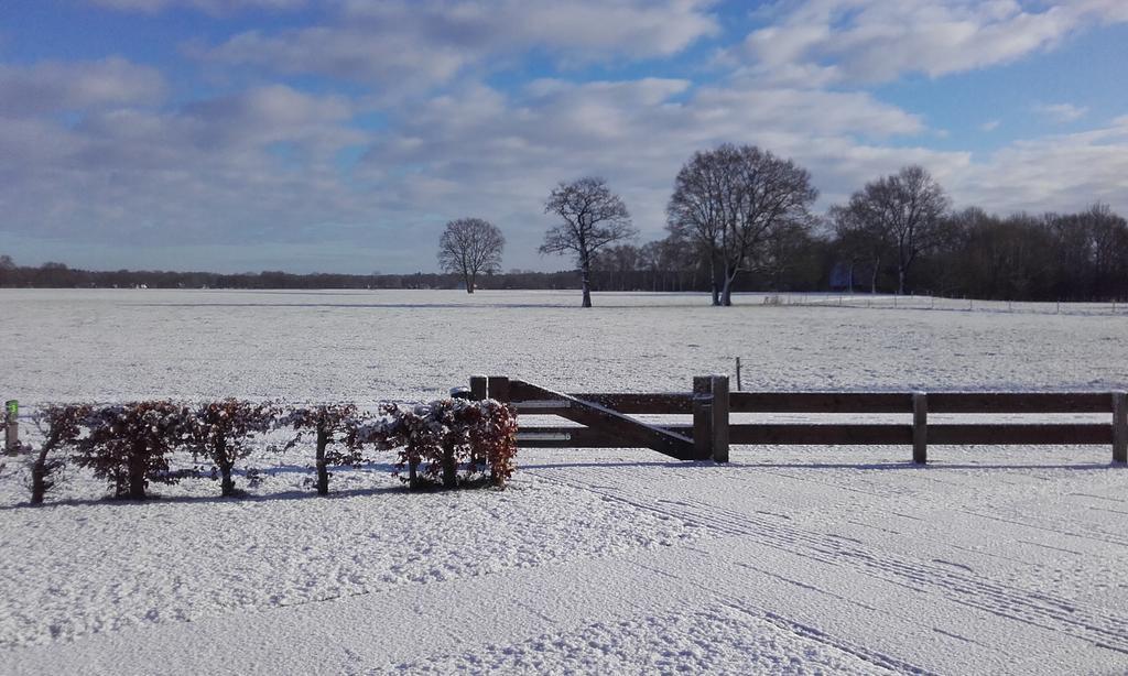 B&B De Luttikhoeve Giethmen Buitenkant foto
