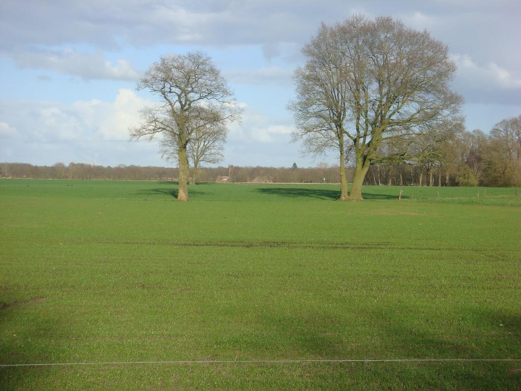 B&B De Luttikhoeve Giethmen Buitenkant foto