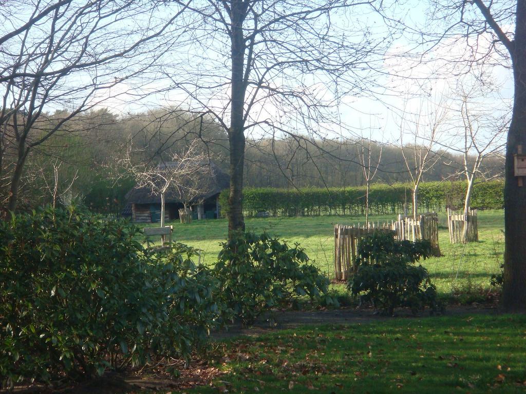 B&B De Luttikhoeve Giethmen Buitenkant foto